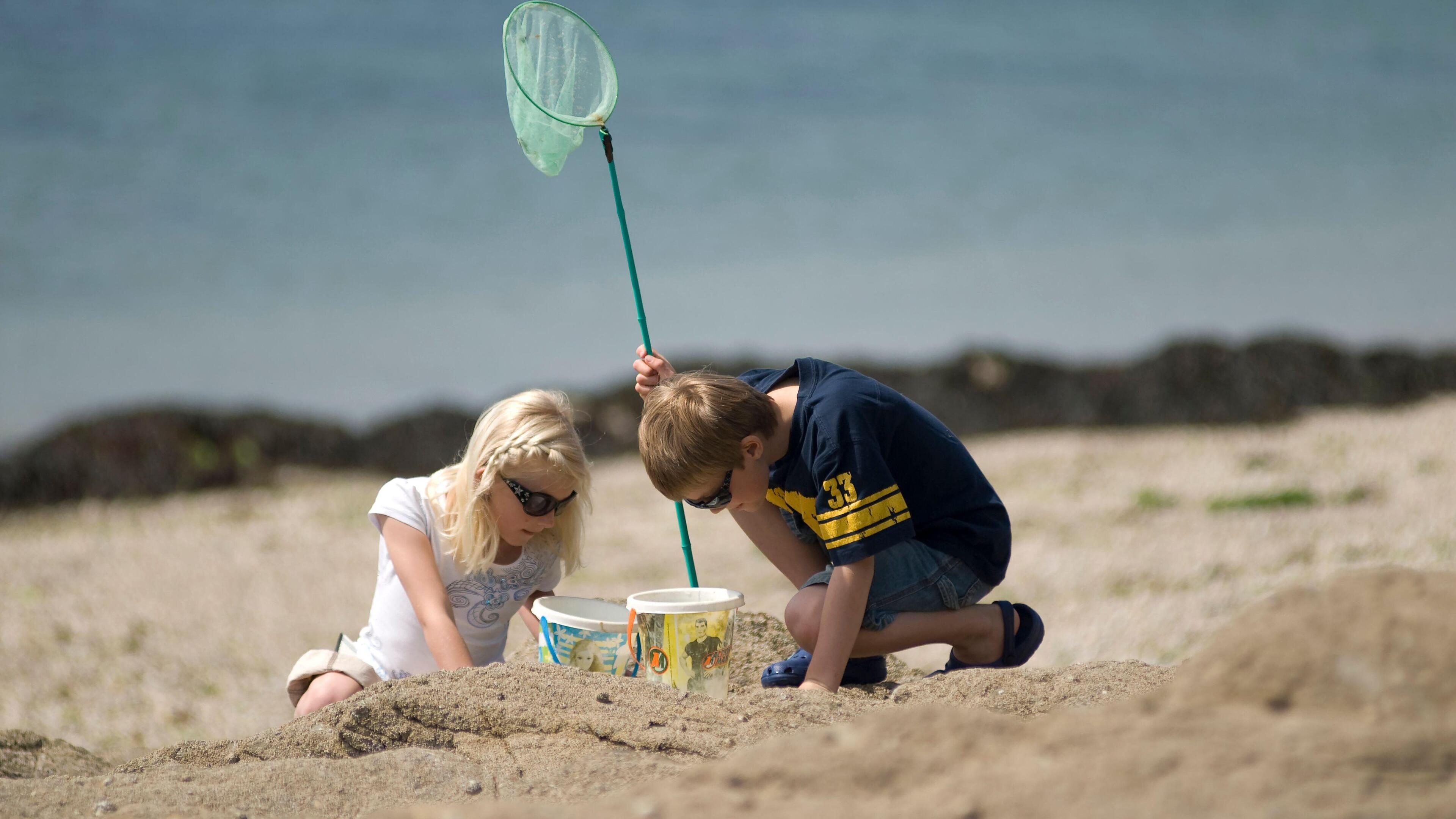 Met Éireann forecasts sunshine and temperatures to hit 20C this weekend